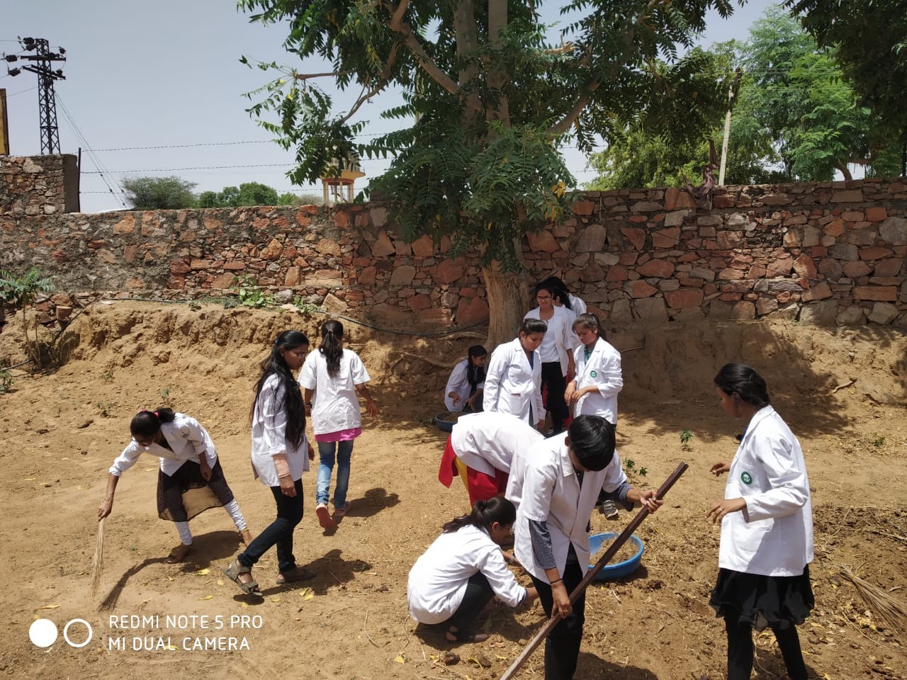 Veterinary & Animal Husbandry Extension Education